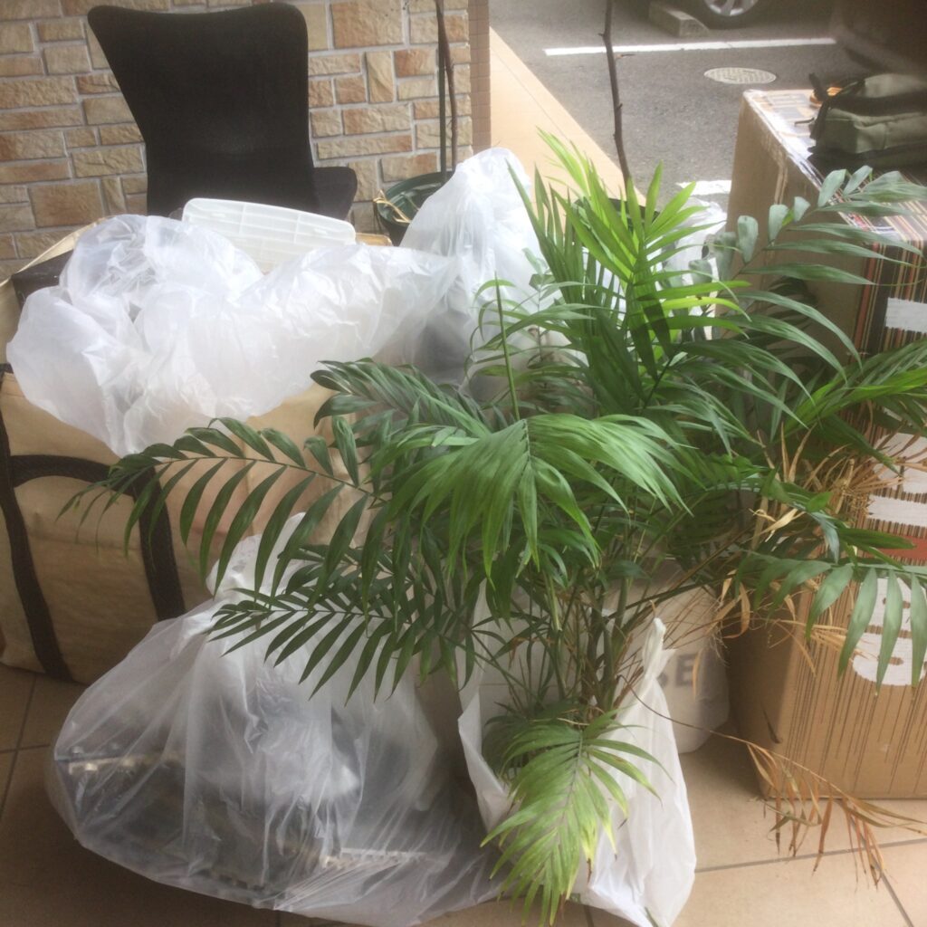 事務所移転に伴いたくさんの観葉植物などの不用品回収 広島県の不用品回収 買取は広島えびすサポート