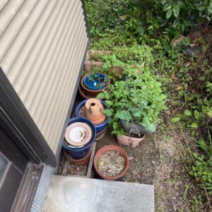 広島県呉市で沢山の植木鉢を回収